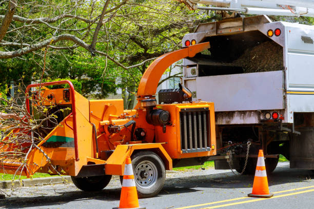 Best Tree Mulching  in Trucksville, PA